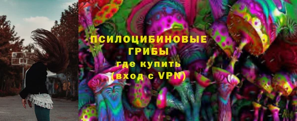 мяу мяу мука Бородино